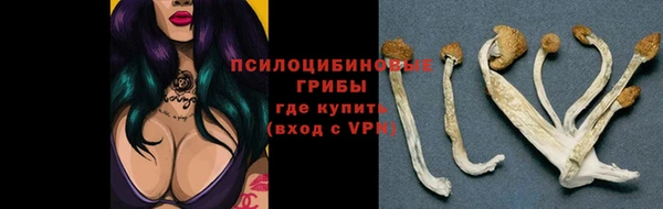 индика Алзамай