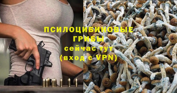 метадон Арсеньев