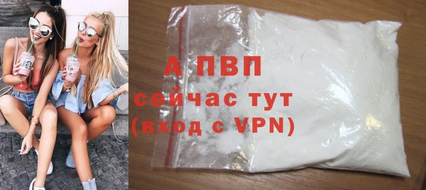 стаф Армянск
